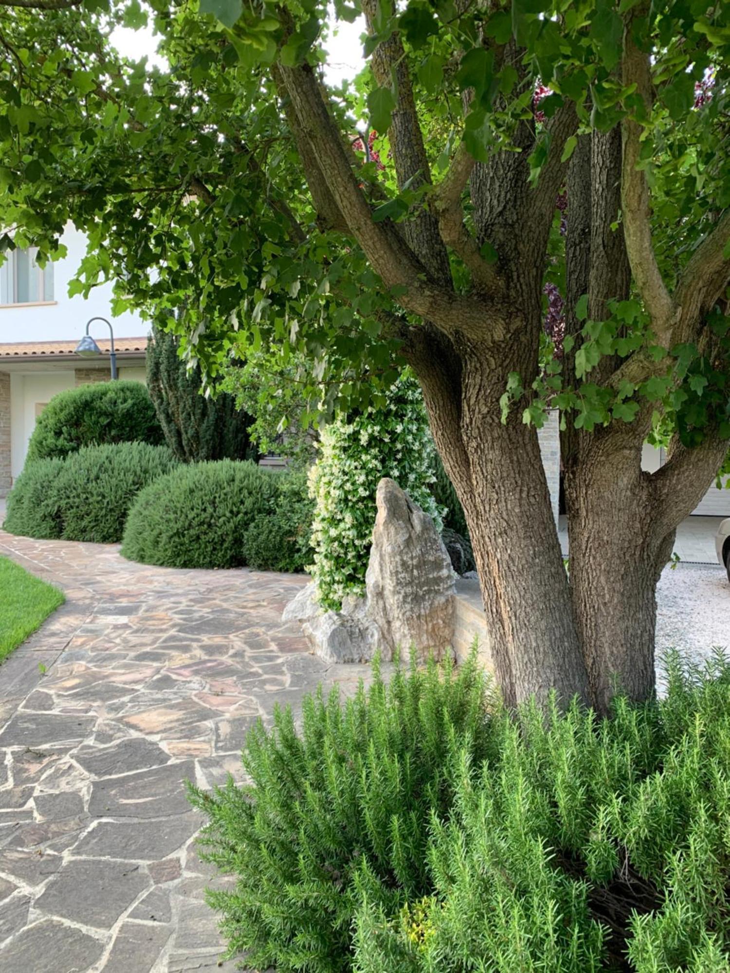 B&B Beauty House Cesena Exteriér fotografie
